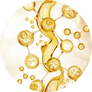 + 7 More Vision-Supporting Nutrients